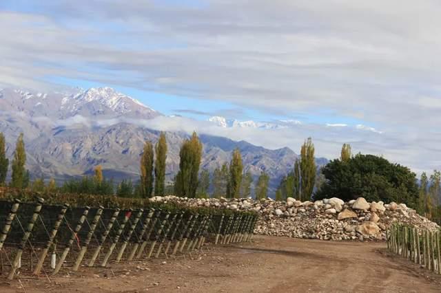 "世界最佳和南美最佳"酒庄——朱卡迪 - 知乎