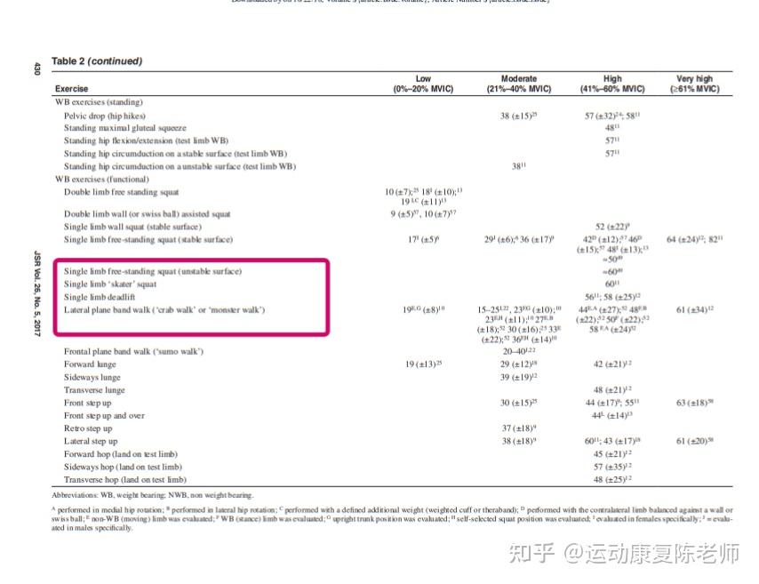 gluteus medius图片