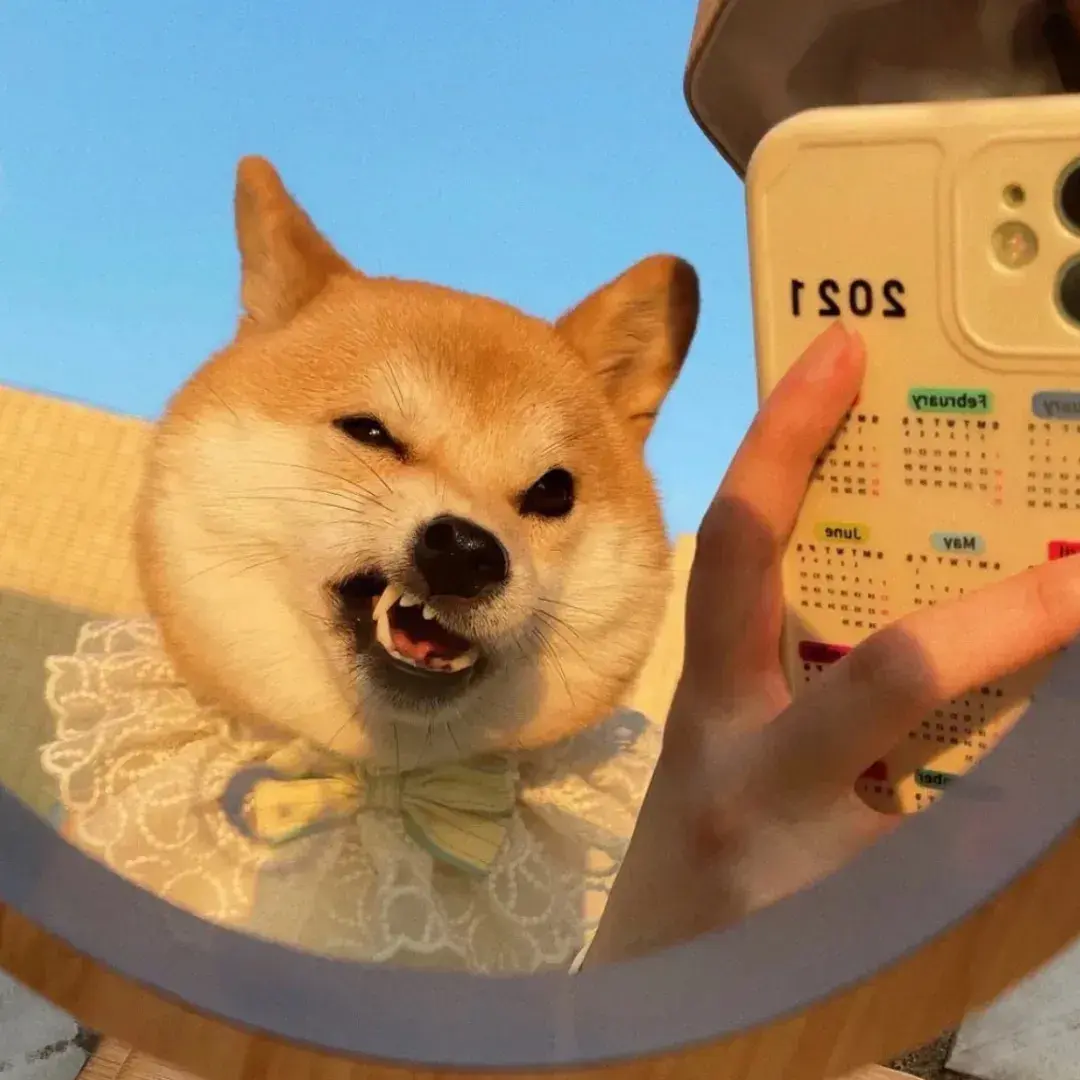 149张好看的情侣头像值得分享