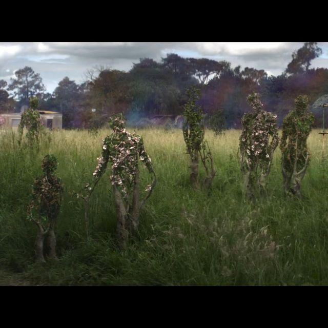 每日提供高质量新闻资讯 打开 app 《湮灭》 目前有动物细胞与植物