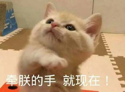护肤保养说说_保养护肤水果_护肤保养 图片