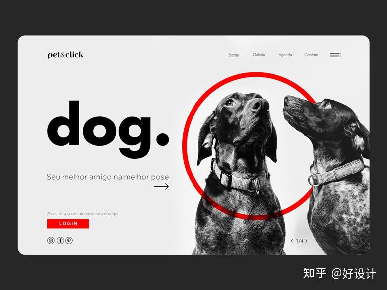 十大欧美网站建设公司设计的动物宠物网页作品 - 知乎