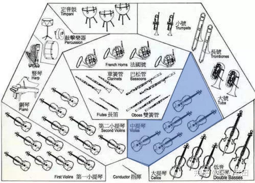 中提琴构造图片