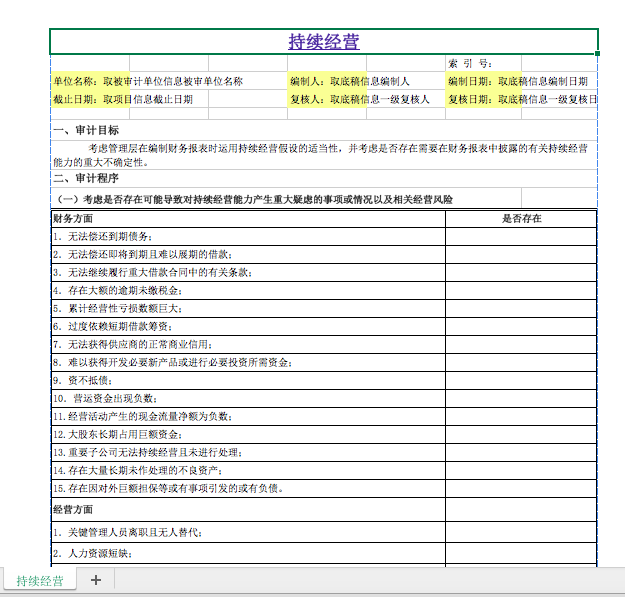 20期：四大事务所审计工作底稿模板全套.xls - 知乎