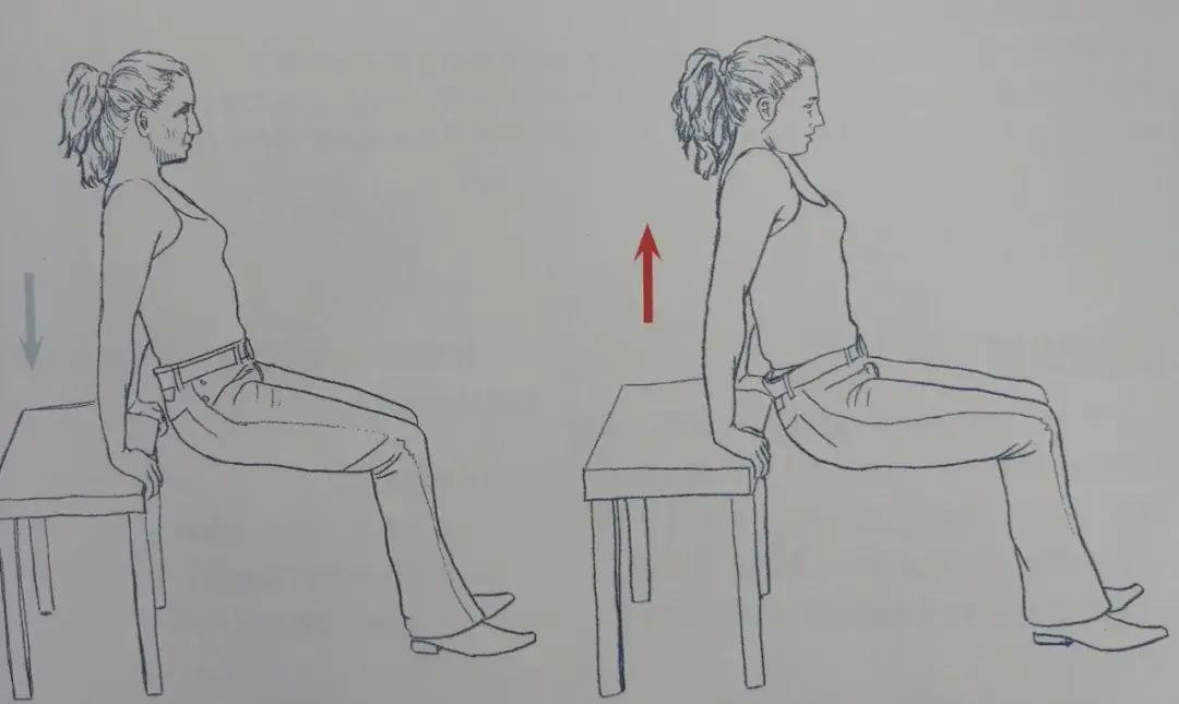 圖片來源:精準拉伸:疼痛消除和損傷預防的針對性練習動作要領:背對