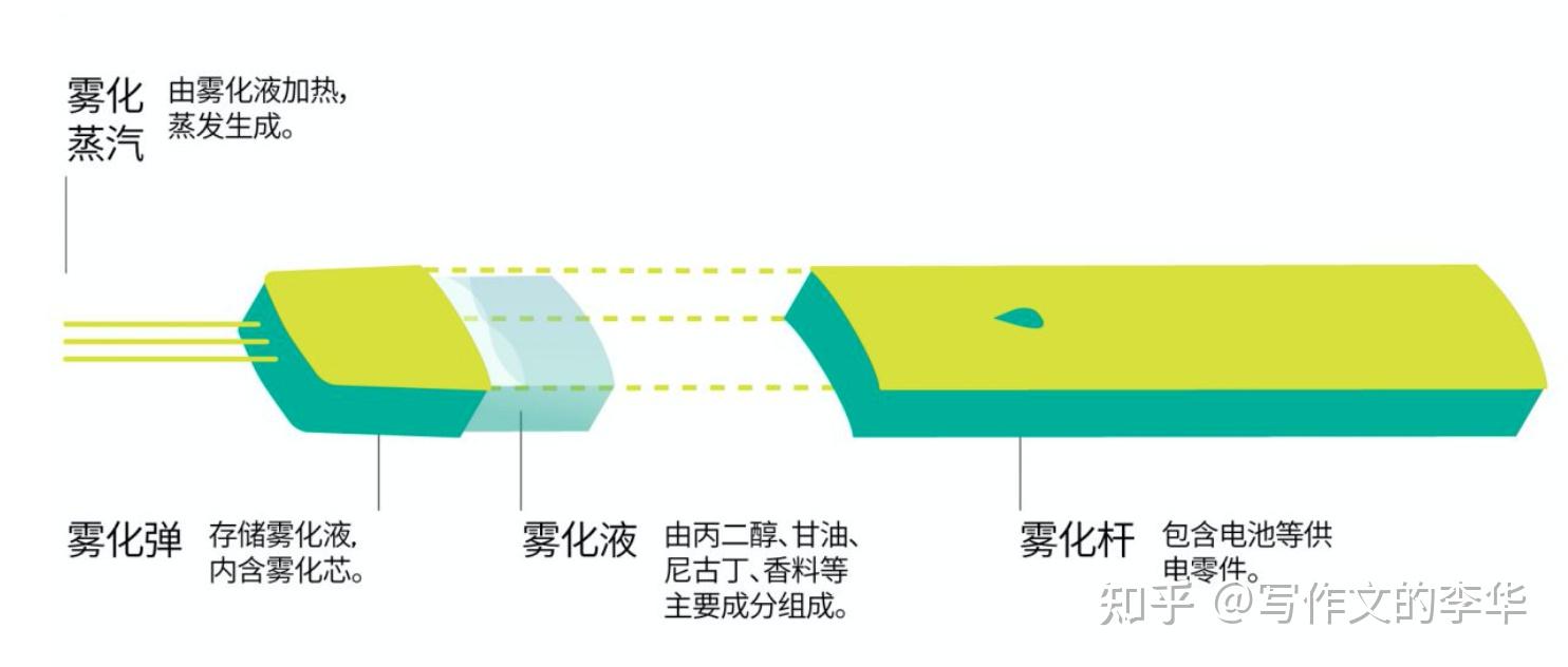 电子烟组成结构图图片