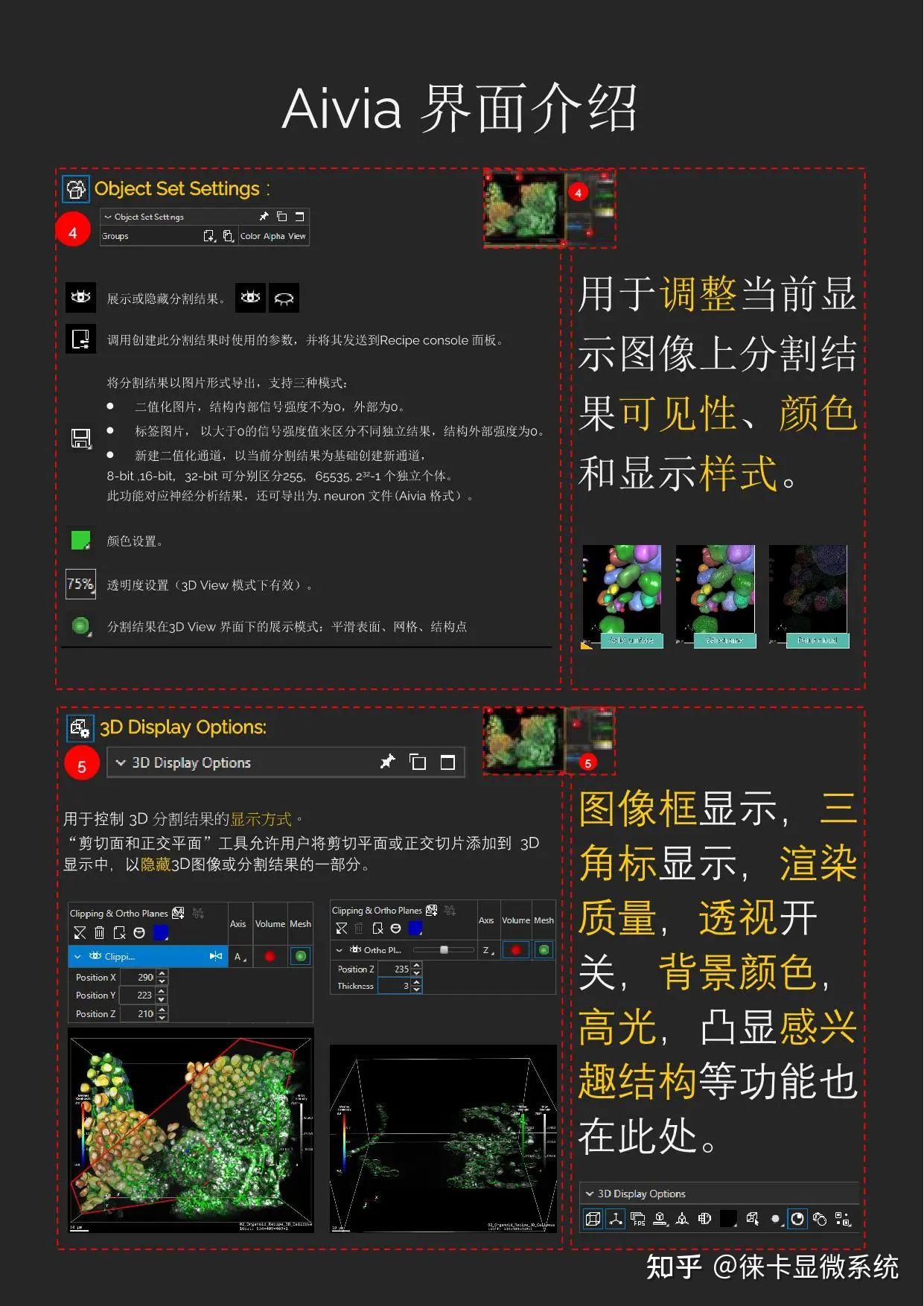 掌握Aivia！快速入门使用指南 - 知乎