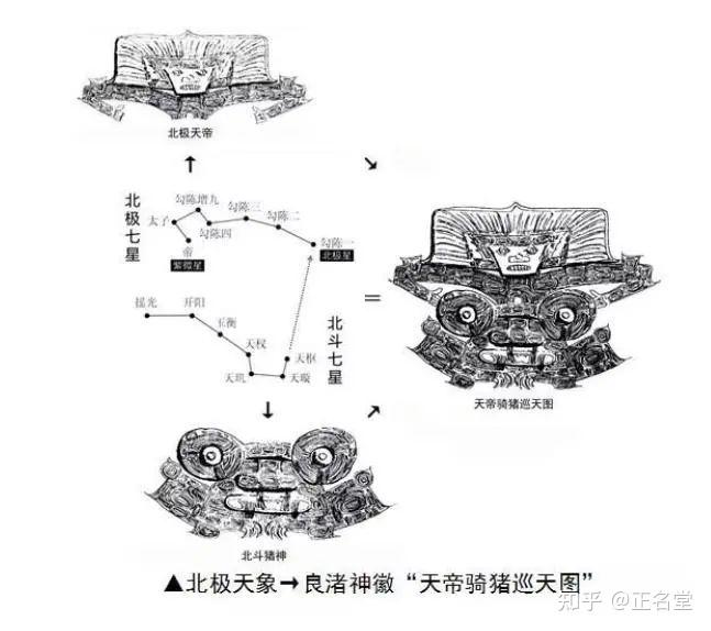 鼻祖一词的由来:为什么会和鼻子有关? - 知乎