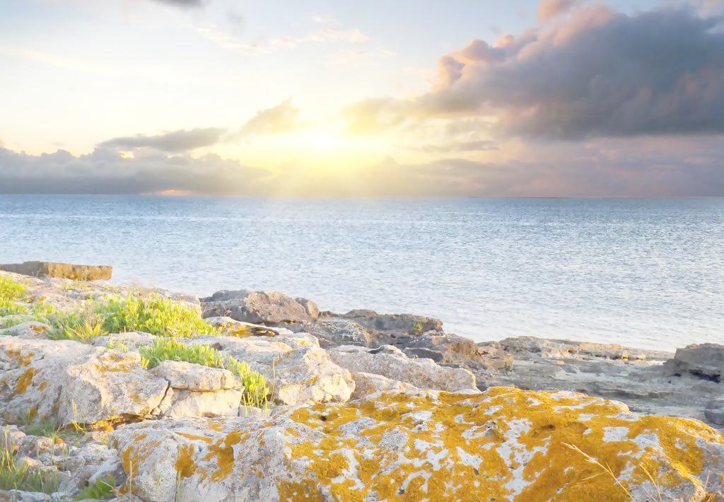 v2-6f8748dc3a36a3734e9518e7edd0dfc7_1440w.jpg?source=172ae18b