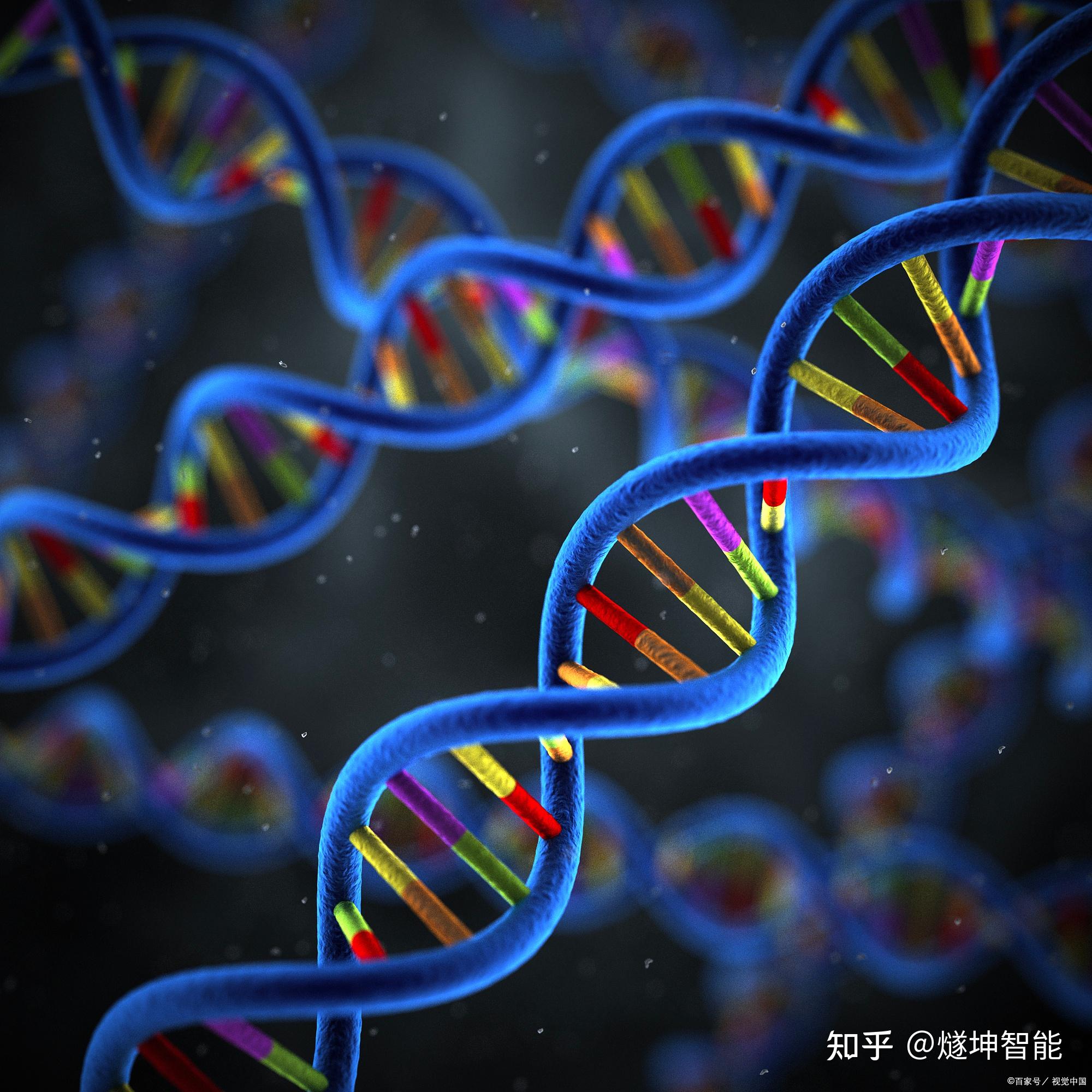 SOS1蛋白:细胞信号传导的关键分子 - 知乎