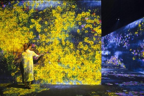teamLab 的作品很美,却也很让人心碎 - 知乎