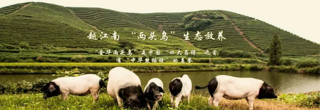 宴稼厨房|吃过两头乌,别的猪肉都是将就 - 知乎