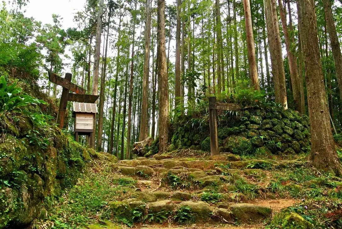 日本熊野古道 | 探寻藏在秘境之中的朝圣之路 - 知乎
