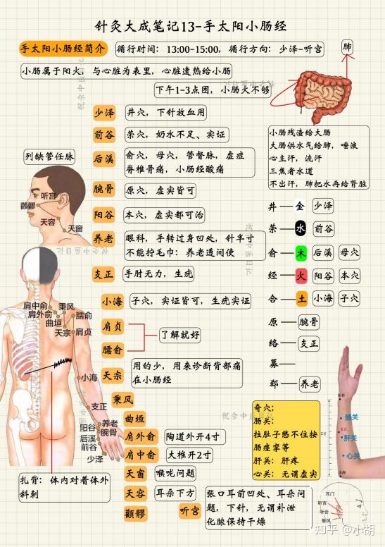 倪海厦针灸课笔记