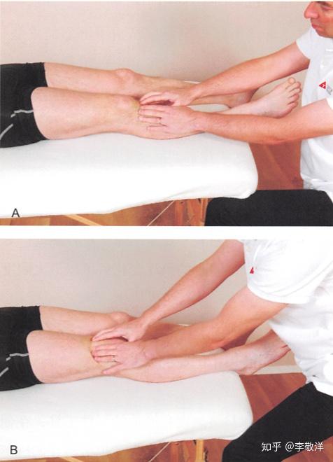 筋膜释放技术筋膜释放与触感培养