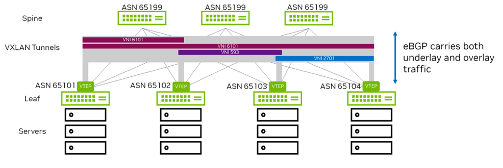 学习 AI 网络 - Day 2.2 - VXLAN EVPN (2) Control Plane - 知乎