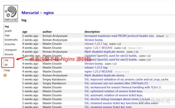 如何在 Visual Studio 编译调试 Windows 版本的 Nginx 源码？ - 知乎