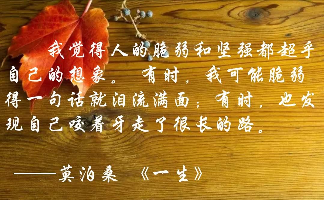 莫泊桑一生读后感