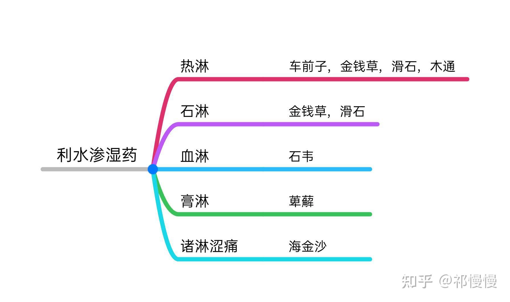 有关中草药的思维导图图片