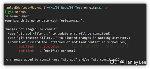 git-submodule