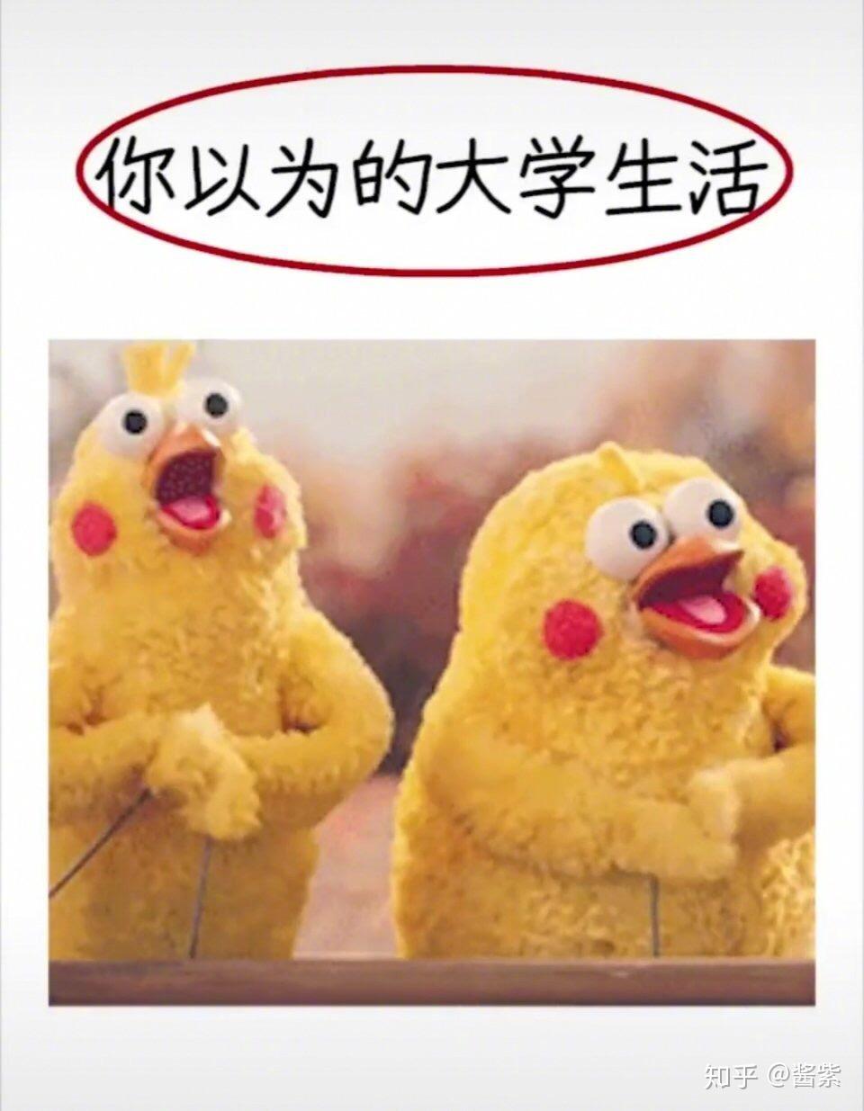 可不可以用一组表情包来描述一下你的大学生活