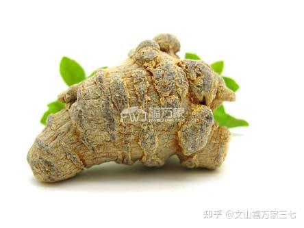 一株三七哪些部分能吃？ - 知乎