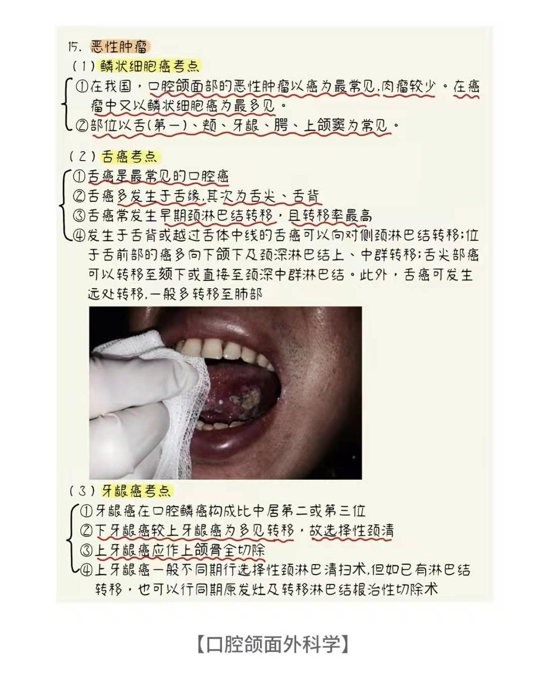 （裁断済み）新口腔病理学　第3版 BK00576.jpg