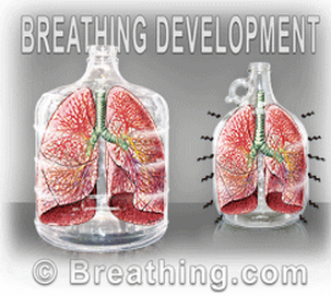 如何优雅地呼吸 一篇文章讲清楚呼吸和体态 知乎