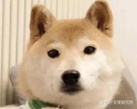 郑秀妍这段太蛊了吧!芒果台怎么能删了不播??!(郑秀妍签约英皇)