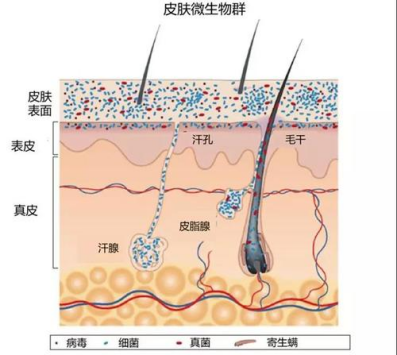 孩子多大妈妈才能化妆_怎么化妆才能遮瑕_如何化妆才能保护皮肤健康