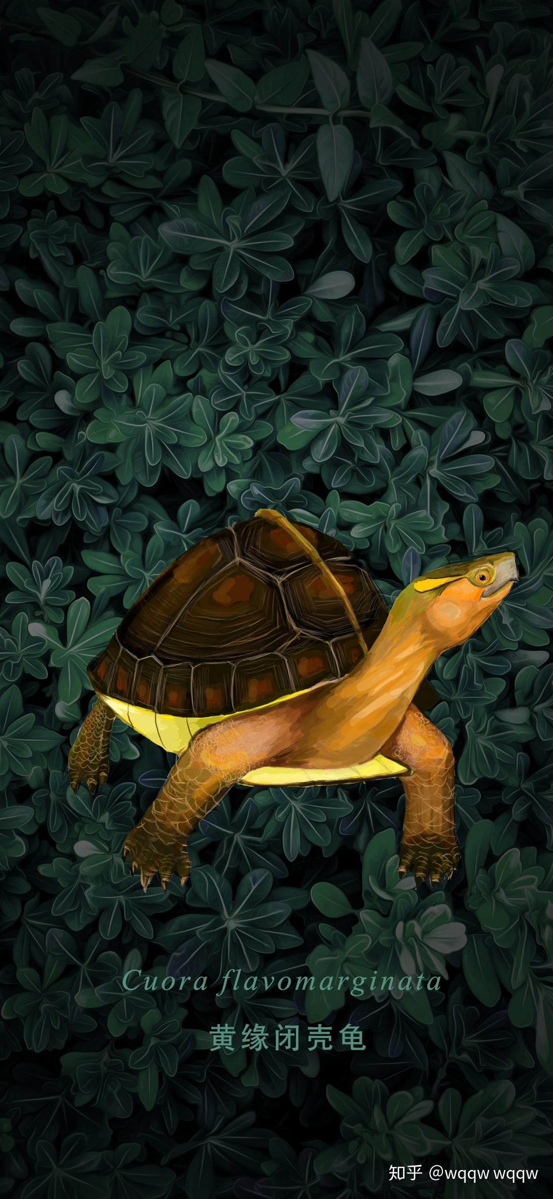 我最近半年学着玩手绘板电脑画画,当给自己交个作业吧.