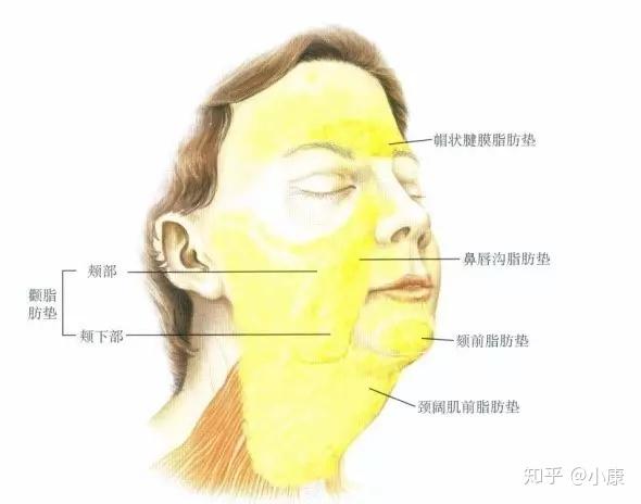 漲點姿勢面頰下垂雙下巴面部吸脂瞭解一下