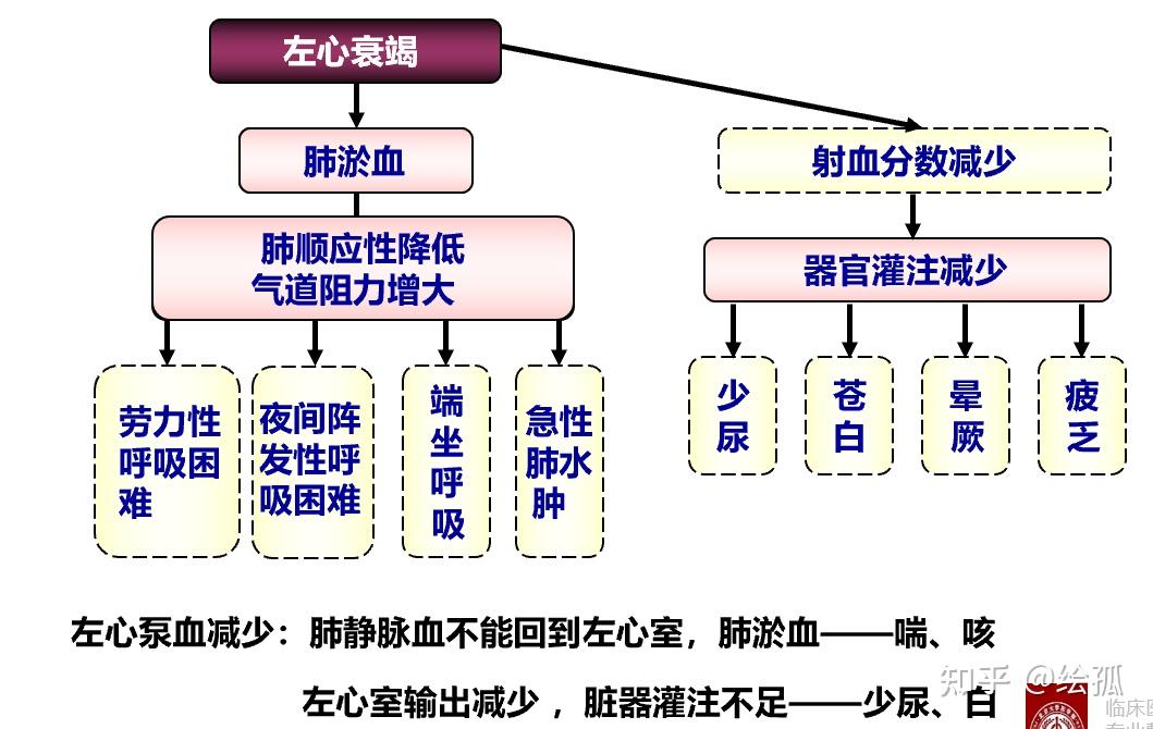 【循环系统5】心力衰竭Heart Failure,HF - 知乎