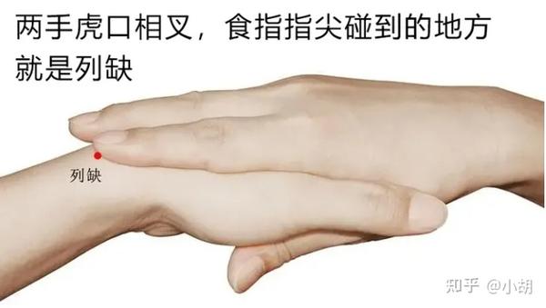 倪海厦针灸课笔记(8)手太阴肺经 - 知乎
