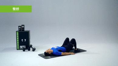 工作越努力身材越丑怎么办