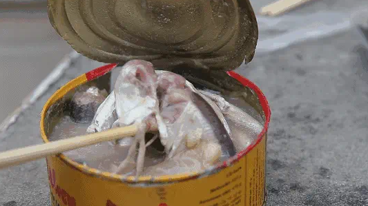 世界第一臭的鲱鱼罐头怎么来的?太空方便餐给你唠唠它的来源