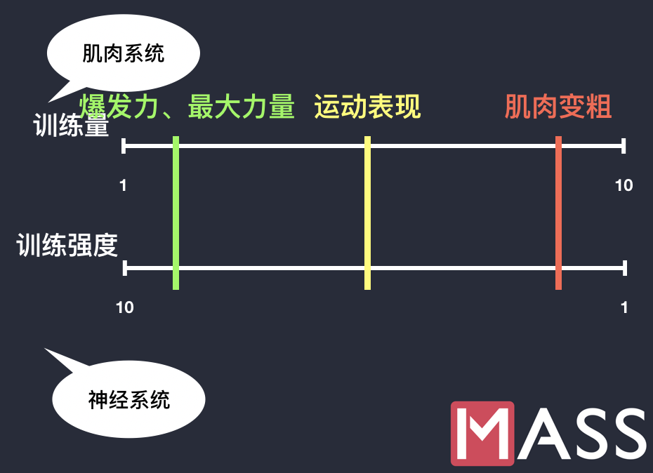 為什麼五乘五訓練是很好的肌力訓練方式