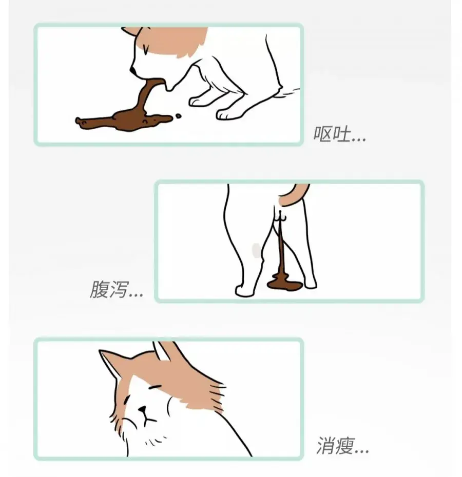 症状及致病作用