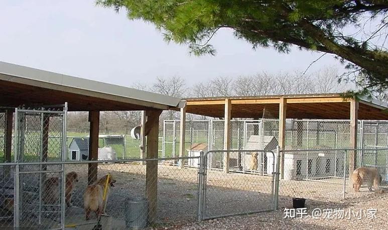 做犬舍需要什么条件？ - 知乎