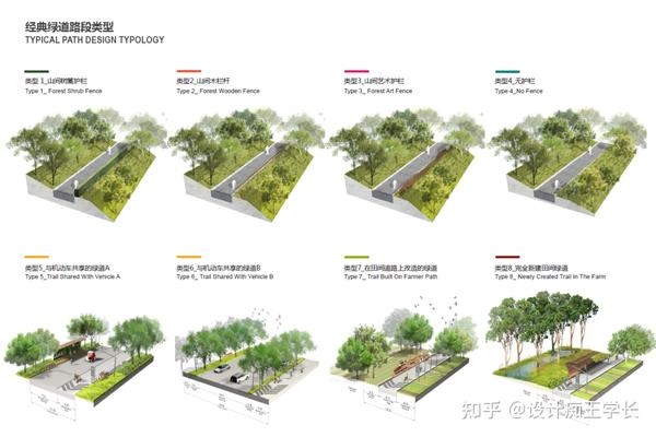 设计留学 植物分析与植物表现，都有哪些常见的形式？ 知乎 