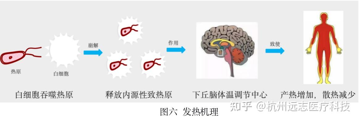热原是指能够引起恒温动物体温异常升高的物质,热原引起的热原反应