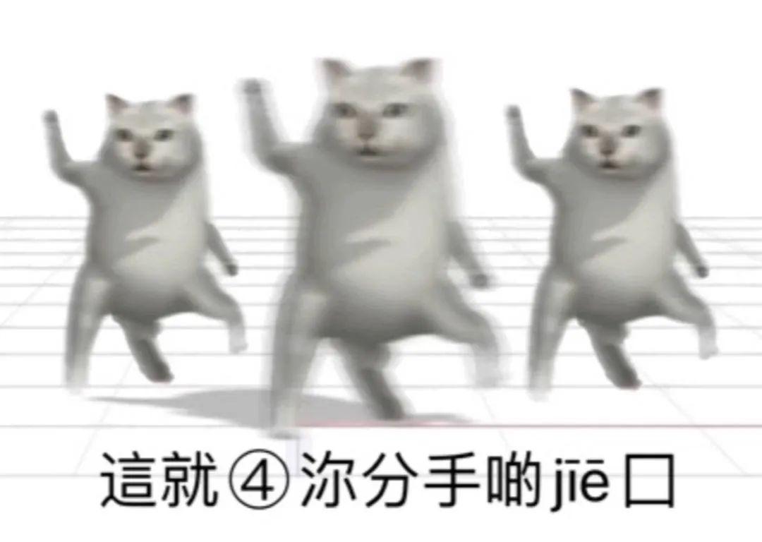 新增mur猫表情包 - 知乎
