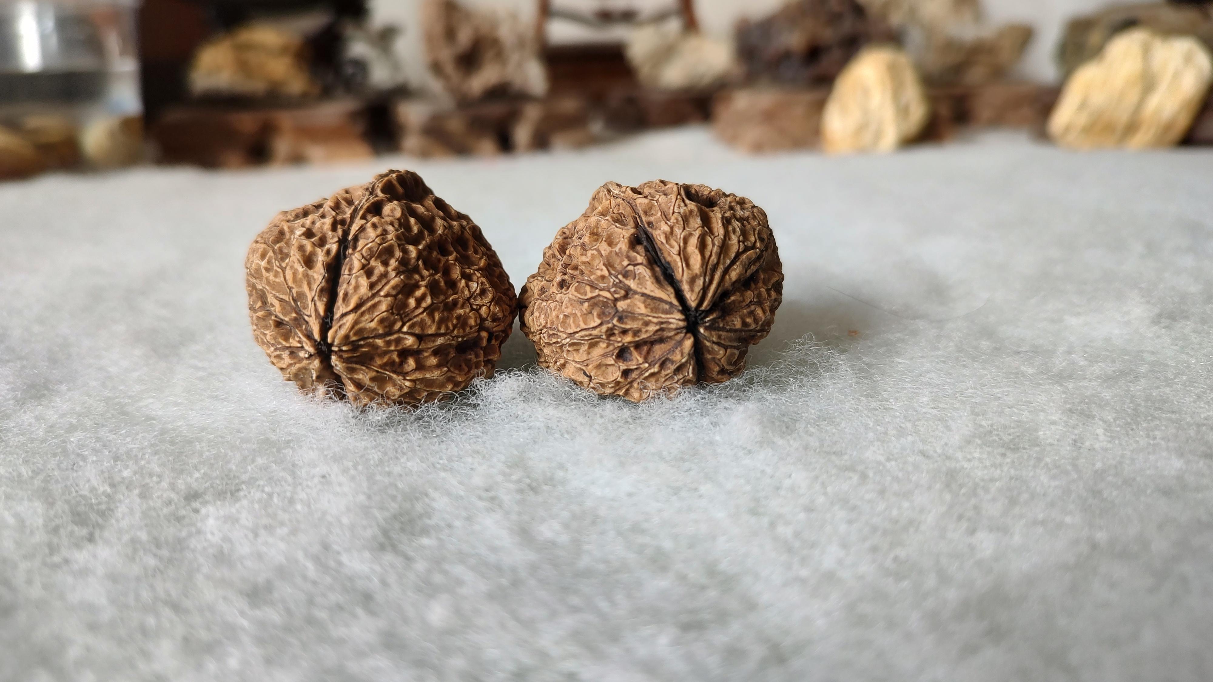 风氏文玩收藏馆:铁核桃 龙鳞甲