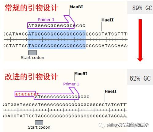 PCR扩增没条带?!史上最强技巧总结 - 知乎