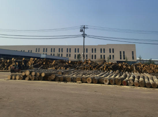 武汉杉木桩12公分多少钱