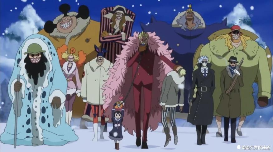 知乎大v,心理学专家维奥莱特表示:不知道多弗朗明哥的违法犯罪行为