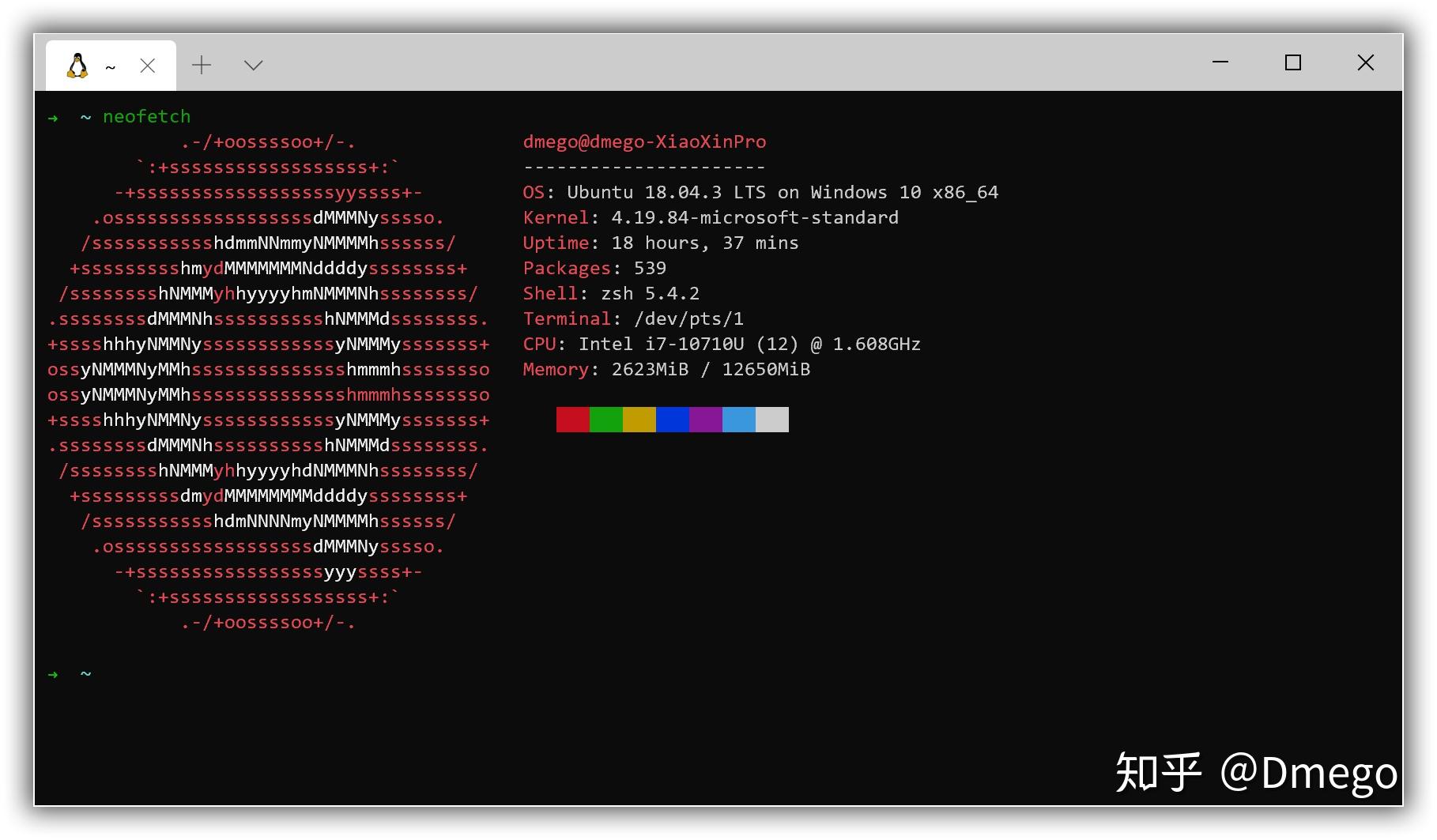 将WSL2作为生产力工具 将WSL2作为生产力工具