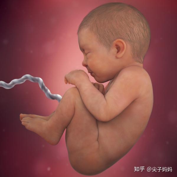 想要和肚中宝宝说话 这个时间点千万别错过 知乎