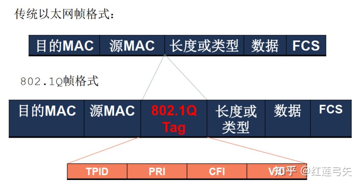  vlan 