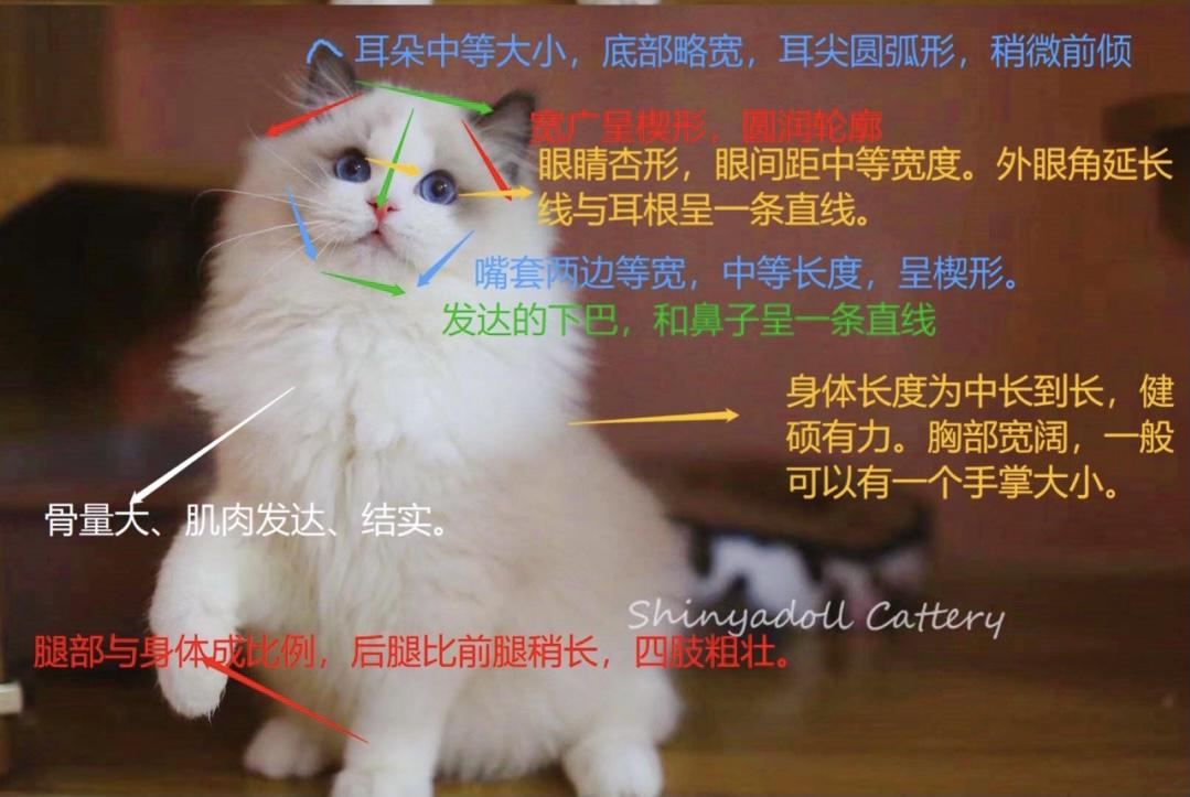 v2-710a7eb145366c7d939b413625a8ad68_1440w.jpg?source=172ae18b